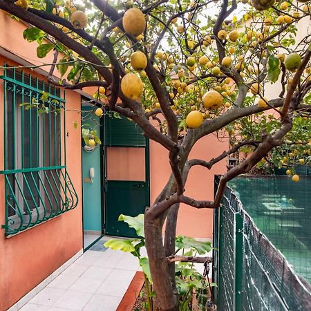 Rivierarent Bettina Holiday Finale Ligure Luaran gambar